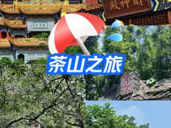 -东莞市大岭山森林公园