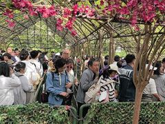 -木兰云雾山