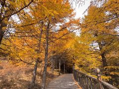 -苏木山森林公园