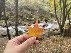 -玉渡山自然风景区