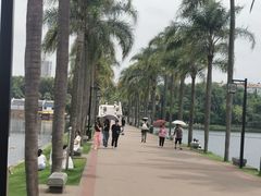-南宁南湖公园