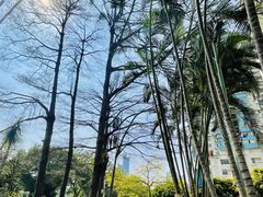 -晓港公园