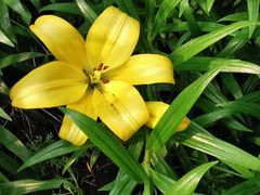 -南通洲际绿博园