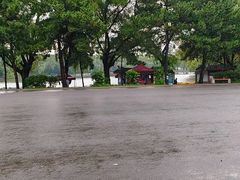 -北陵公园