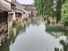-乌镇西栅景区