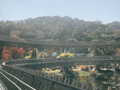 -福道