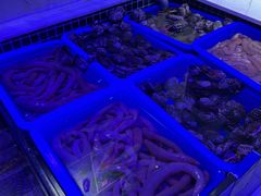 -开海·红岛海鲜虾水饺(石老人店)