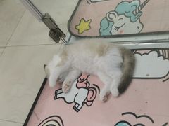 -永辉超市(红旗街万达广场店)