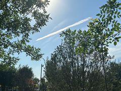 -爪吧宠物乐园 (温榆河示范区店)