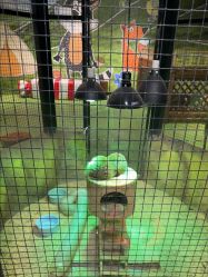 -酷嗒动物文化乐园(cutezoo西溪乐天城店)