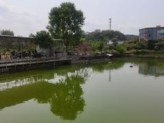-荔枝红五号农庄