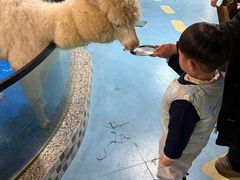 -上海大自然野生昆虫馆(东方明珠·爬宠昆虫探索中心)