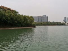 -天鹅湖体育公园