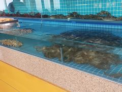 -视界美食自助餐厅·石家庄希尔顿酒店