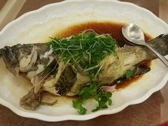 -北海渔村酒楼·粤菜海鲜点心(新华店)