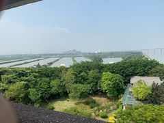 -大湾区中央湿地公园