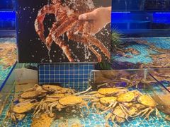 -驻海渔市(置信店)