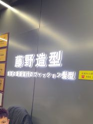 -藤野造型烫发染发