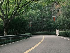 -重庆园博园