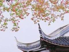 -老门东历史文化街区