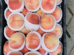 -北京清河镇农副产品交易市场中心