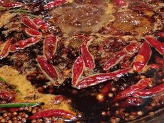 -青年火锅(吾悦广场直营店)