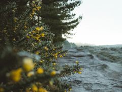 -西昌邛海湿地
