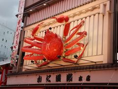 -蟹道乐(道顿堀本店)