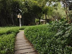 -顺峰山公园