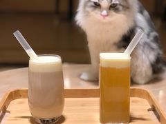 -猫腻·猫咖·撸猫馆(星光大道店)