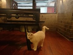 -张记牛肉面馆(天津路店)