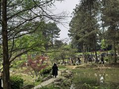 -铁山坪森林公园