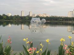 -南宁南湖公园