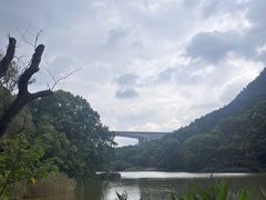 -黔灵山公园