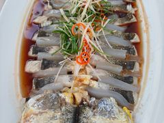 -大锅强·蒸海鲜青岛菜(吾悦广场店)