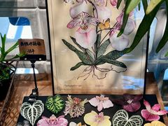 -自由生长植物工作室(深港花卉中心店)