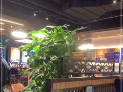 大堂-bluefrog蓝蛙(悠唐购物中心店)