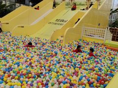 -南宫五洲植物乐园