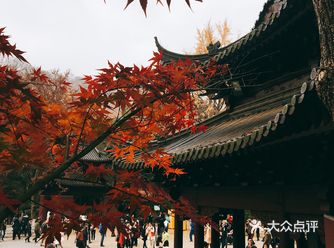 秋日南京不可错过的风景|栖霞山名胜风景区打卡攻略