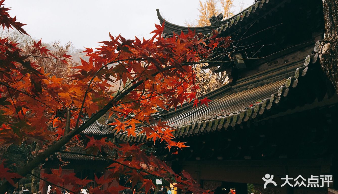 秋日南京不可错过的风景|栖霞山名胜风景区打卡攻略