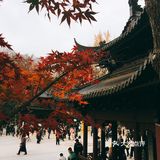 秋日南京不可错过的风景|栖霞山名胜风景区打卡攻略