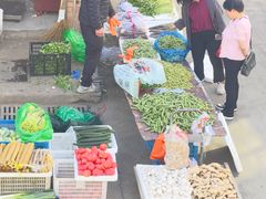 -上海浦南农副产品批发市场