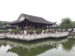 iphone_upload_pic-泰州凤城河风景区-泰山公园