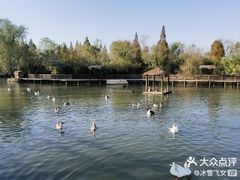 -溱湖国家湿地公园