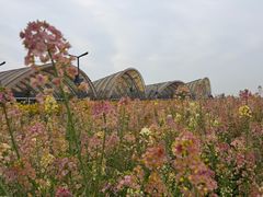 -中国天府农业博览园