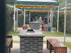 -顾村公园