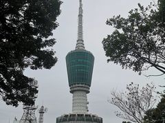 -梧桐山风景名胜区