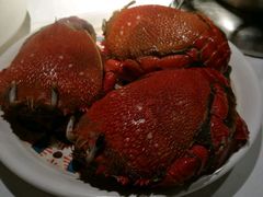 -星伦多海鲜自助餐厅(时代广场店)
