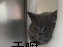 -哆趣宠物医院·眼科·内镜·急重症转诊中心(上海店)