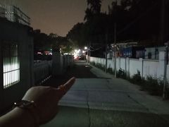 -姚林轩